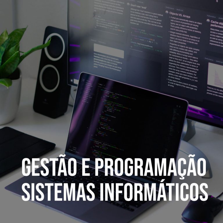 Gestão e Programação de Sistema Informáticos