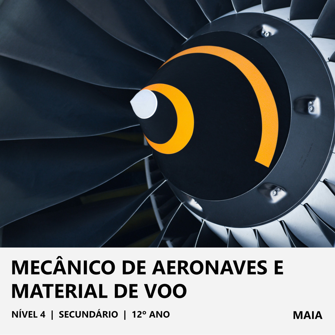 Mecânico de Aeronaves e Material de Voo